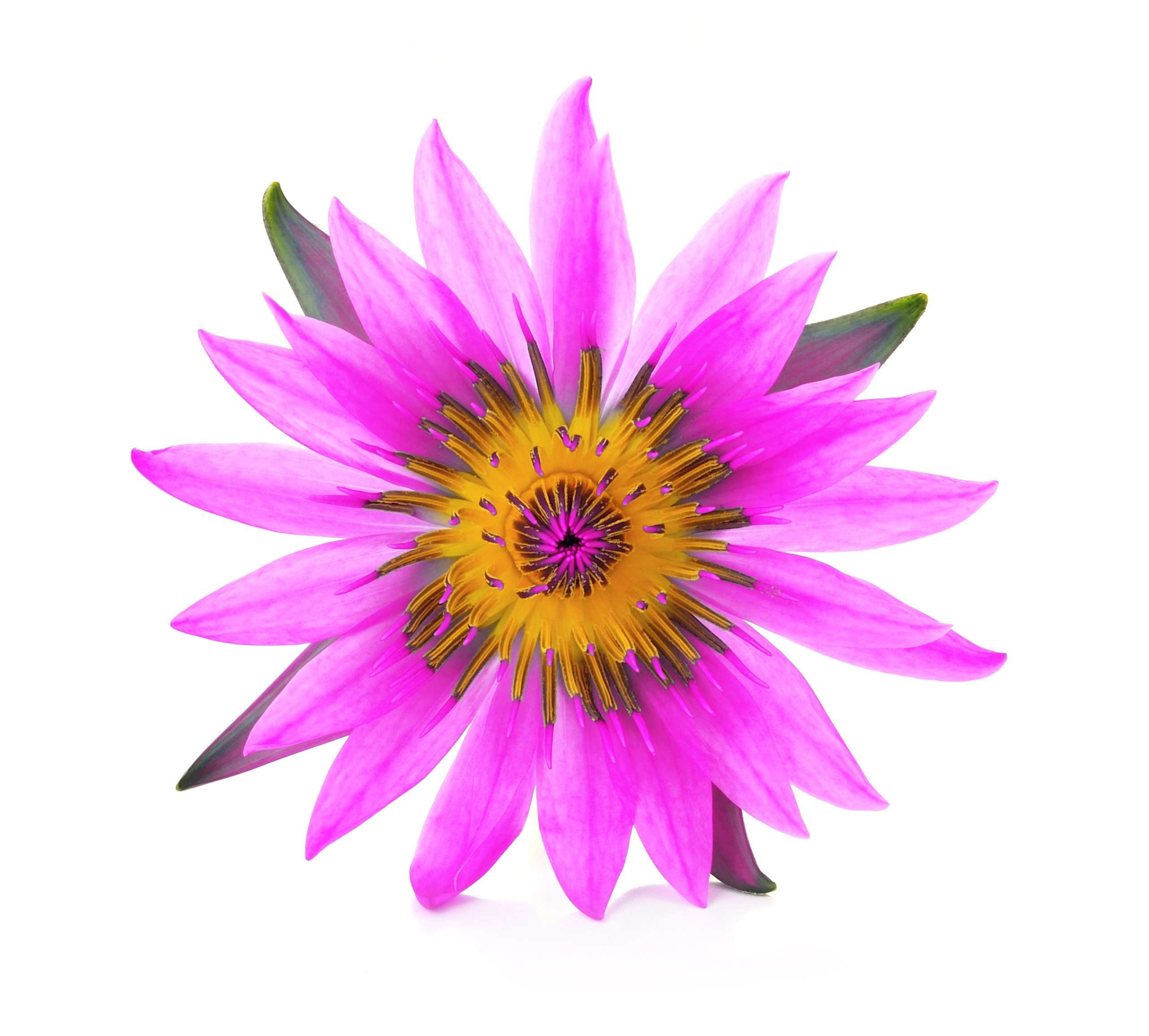 alquiler turistico illa de arousa