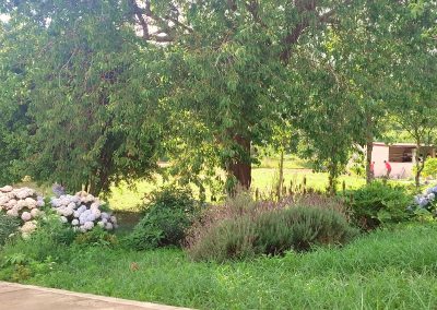 piso en alquiler en illa de arousa